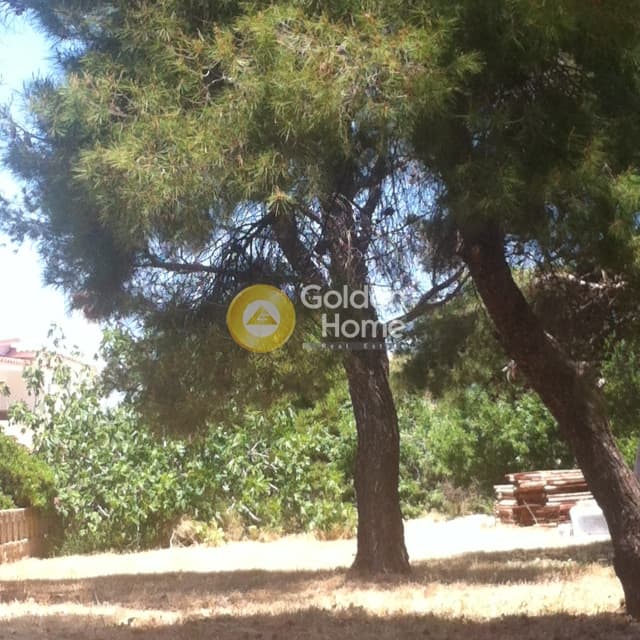 Οικόπεδο στην Σαρωνίδα, Σαρωνίδα — Φωτογραφία 4 από 6