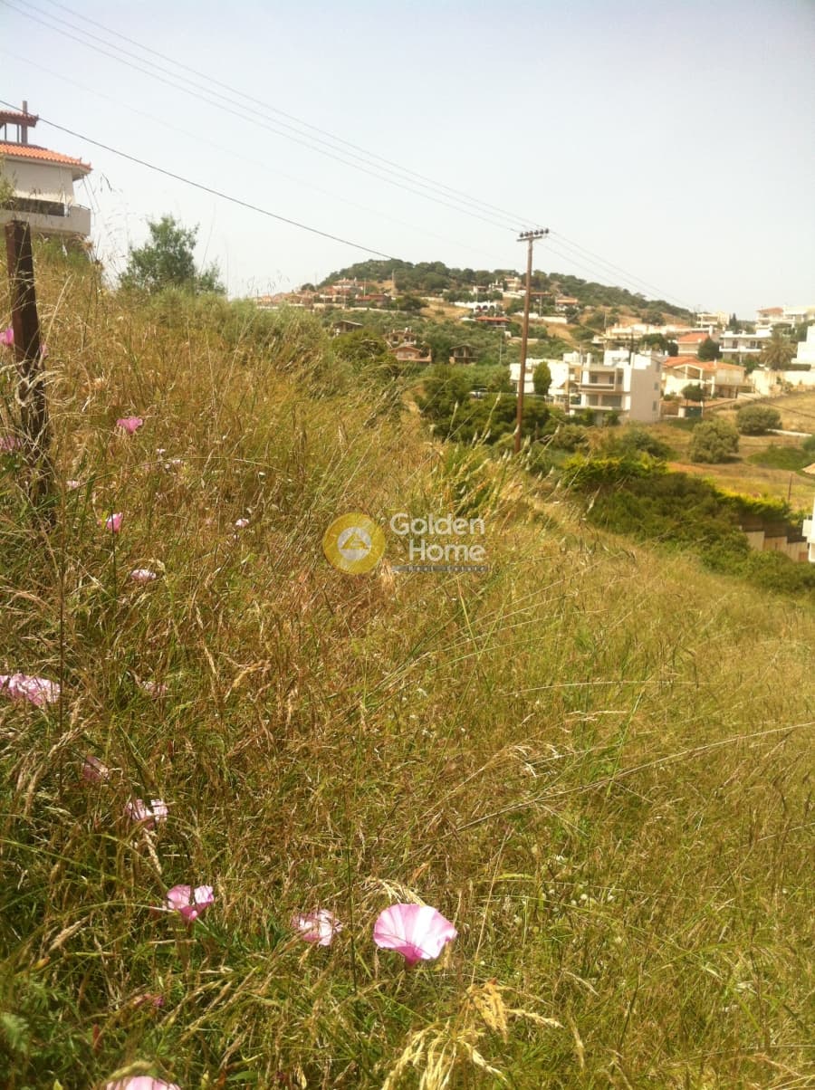 Building Plot in Paralia, Anavissos — Photo 3 of 5