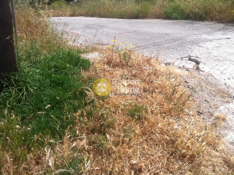Building Plot in Paralia, Anavissos — Photo 5 of 5