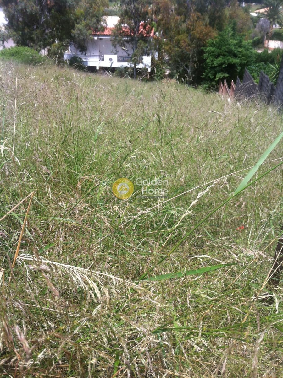 Building Plot in Agios Nikolaos, Anavissos — Photo 1 of 2