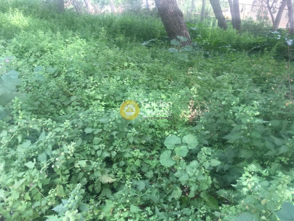 Οικόπεδο στην Σαρωνίδα, Σαρωνίδα — Φωτογραφία 2 από 5