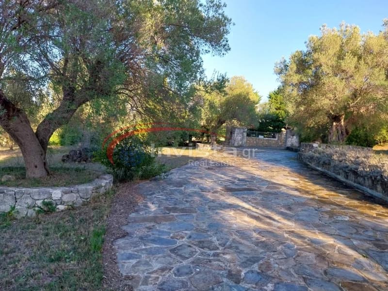 Μονοκατοικία στην Άφυτος, Κασσάνδρα — Φωτογραφία 20 από 24