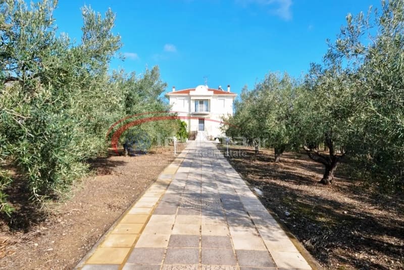 Μονοκατοικία στην Νέα Ποτίδαια, Μουδανιά — Φωτογραφία 21 από 25