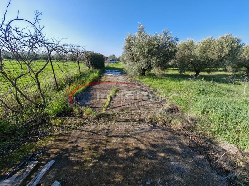 Μονοκατοικία στην Κέντρο, Μουδανιά — Φωτογραφία 15 από 15