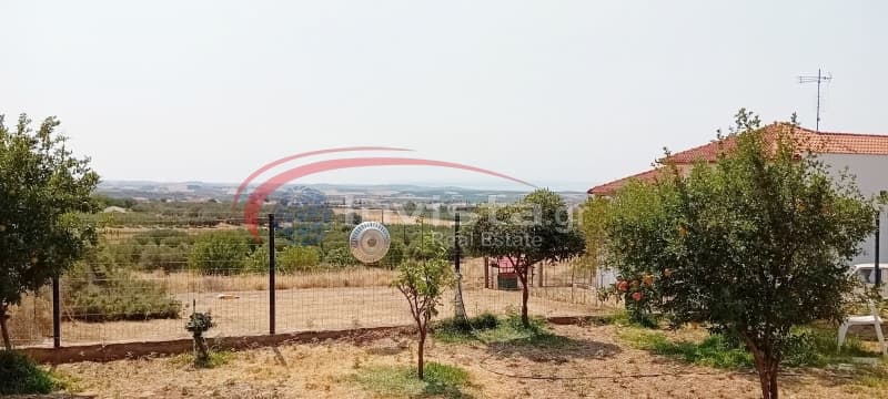 House in Center, Triglia — Photo 22 of 23