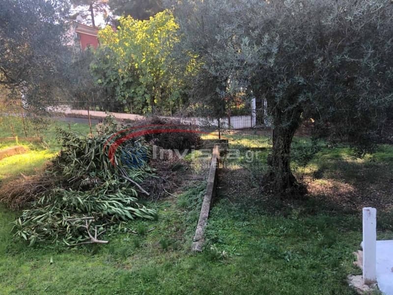Μονοκατοικία στην Κουμίτσα, Παναγιά — Φωτογραφία 6 από 23