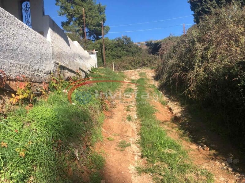 Μονοκατοικία στην Κουμίτσα, Παναγιά — Φωτογραφία 12 από 23