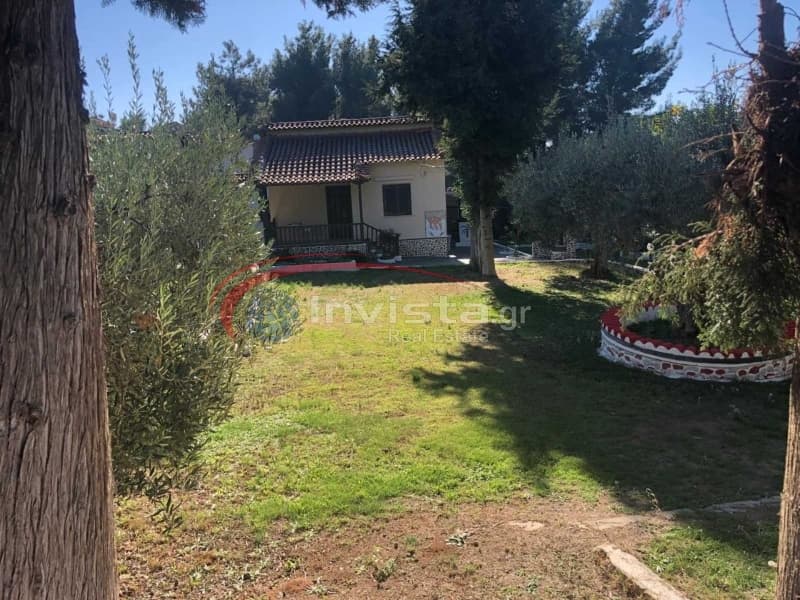 Μονοκατοικία στην Κουμίτσα, Παναγιά — Φωτογραφία 7 από 23