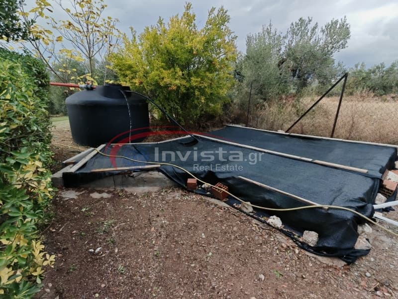 Μονοκατοικία στην Σκάλα Γερακινής, Πολύγυρος — Φωτογραφία 7 από 25