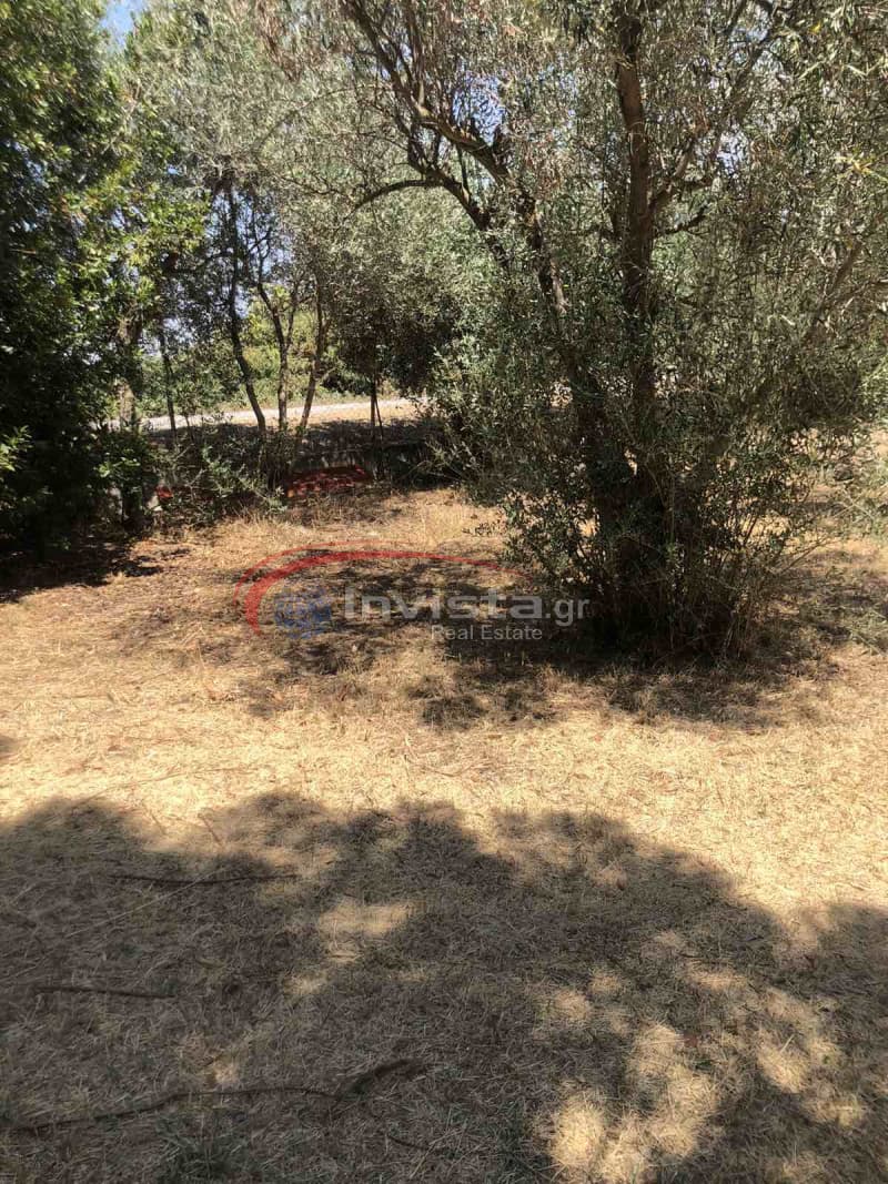 Μονοκατοικία στην Λακκιά, Βασιλικά — Φωτογραφία 12 από 14