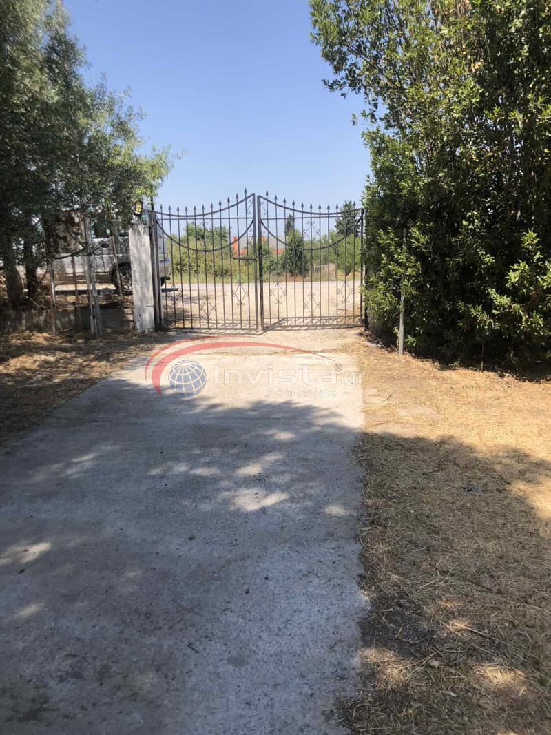 Μονοκατοικία στην Λακκιά, Βασιλικά — Φωτογραφία 13 από 14