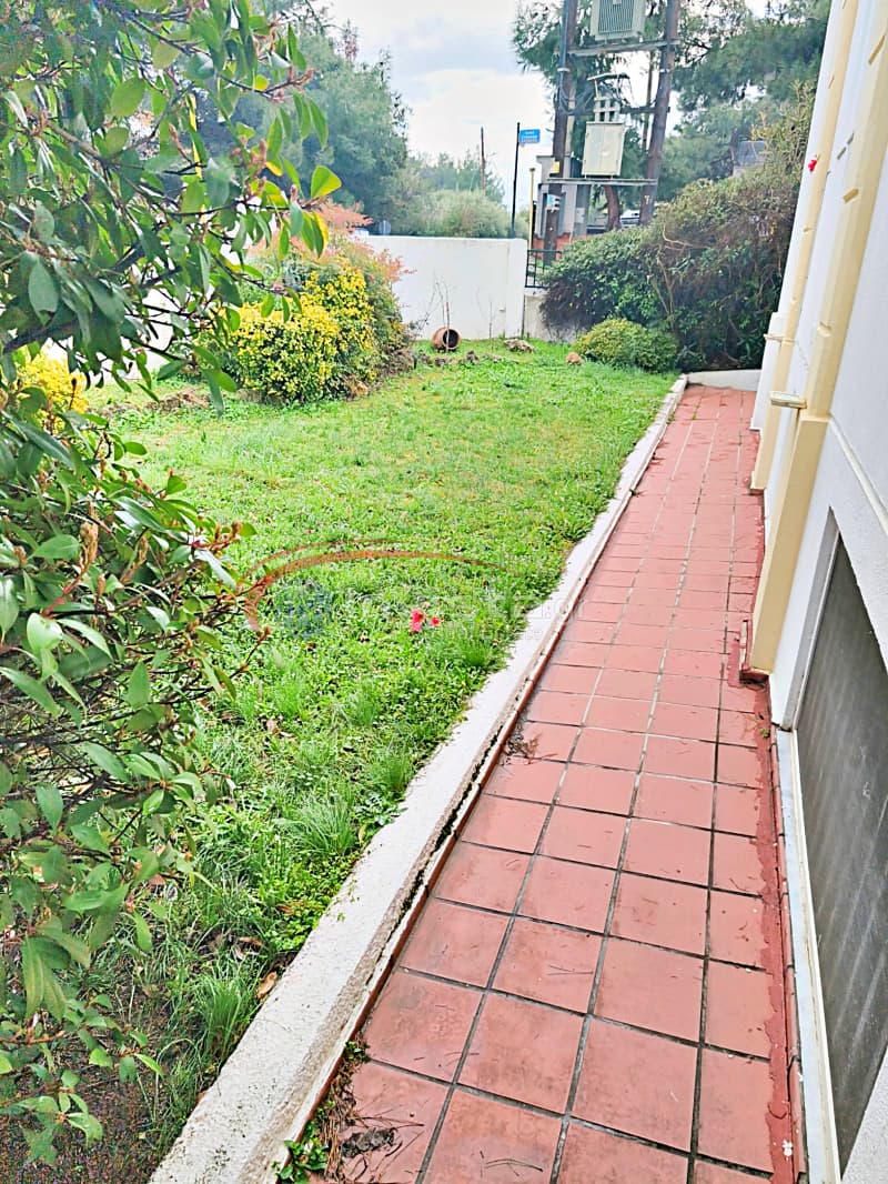 House in Center, Panorama — Photo 18 of 30