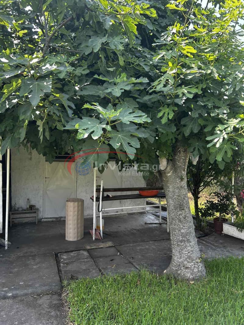 House in Neos Marmaras, Sithonia — Photo 19 of 27
