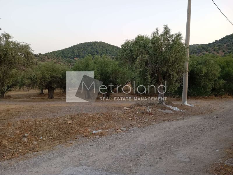 Building Plot in Perani, Salamina — Photo 7 of 9