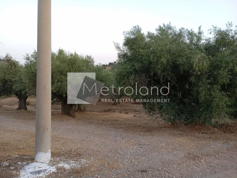 Building Plot in Perani, Salamina — Photo 6 of 9