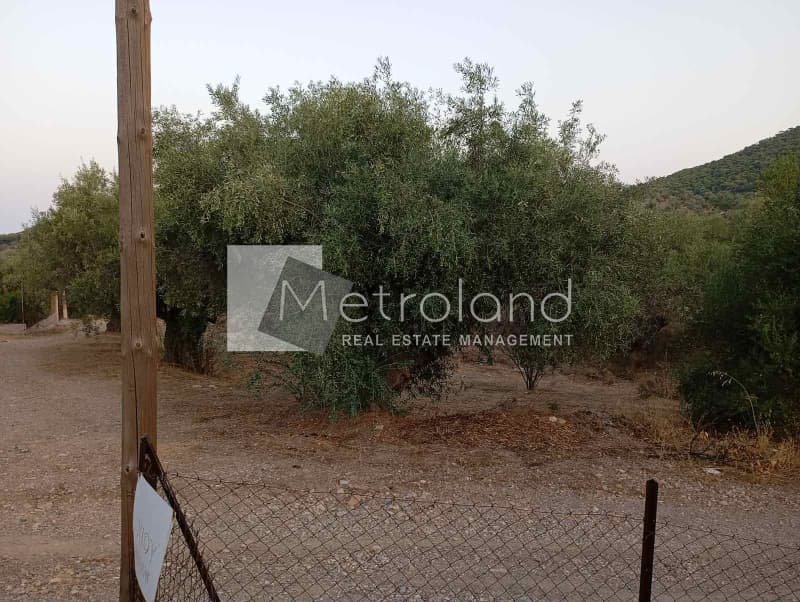 Building Plot in Perani, Salamina — Photo 8 of 9