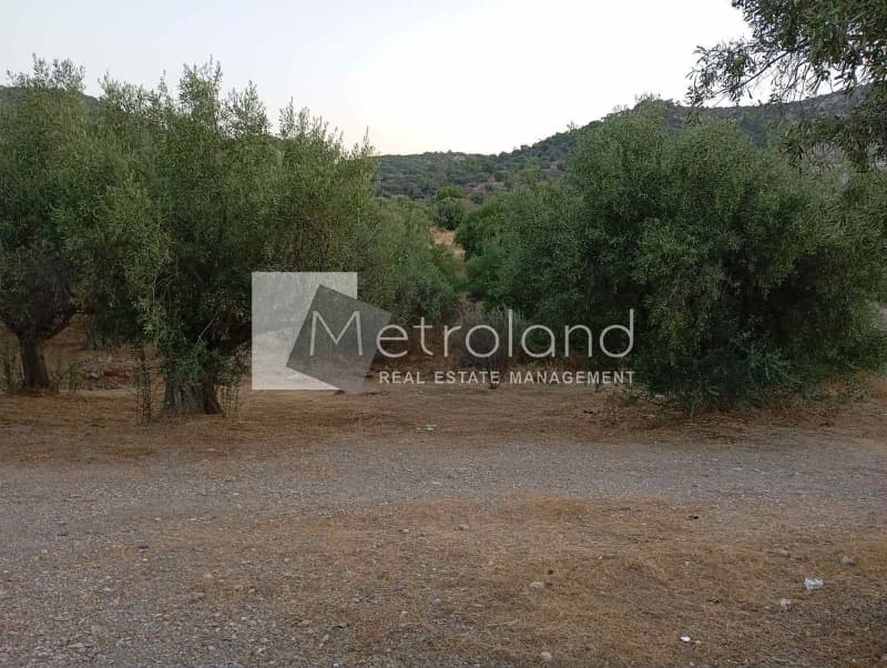 Building Plot in Perani, Salamina — Photo 1 of 9