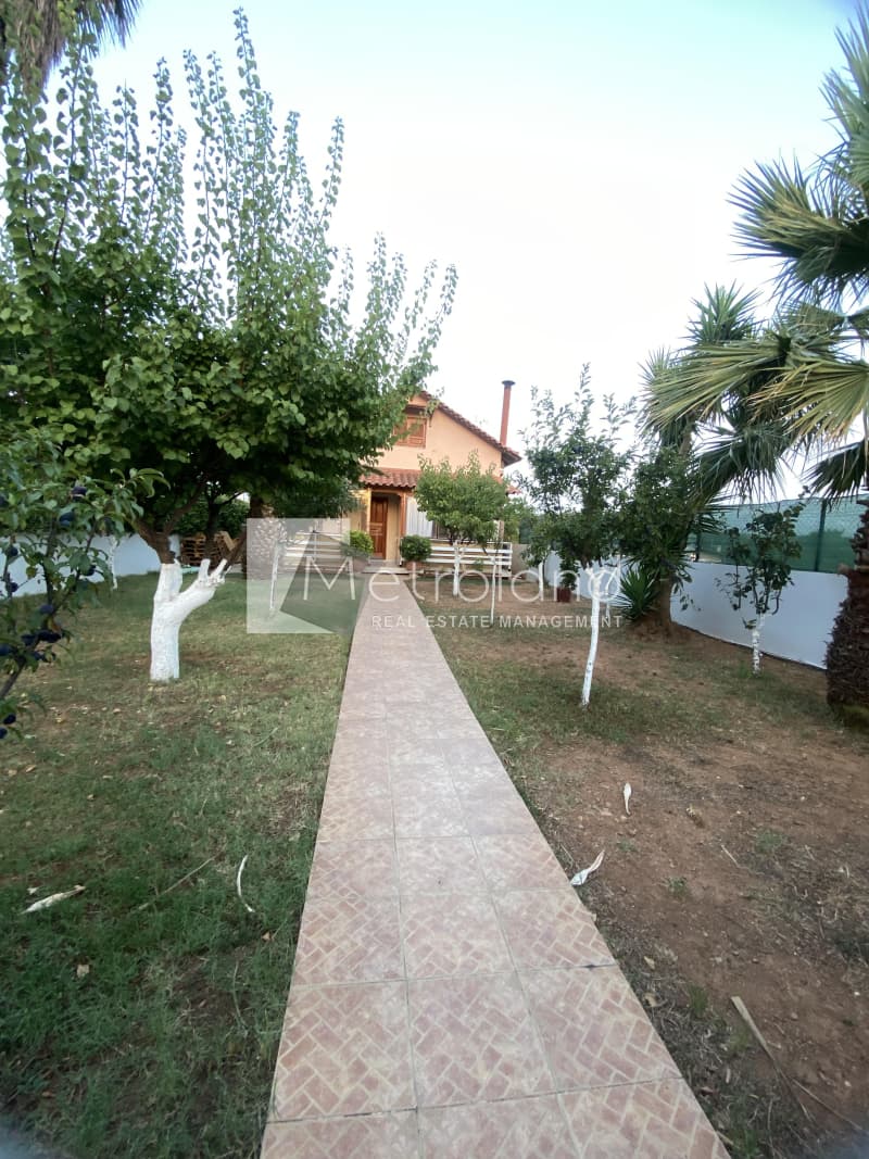 House in Lamprika, Koropi — Photo 1 of 18