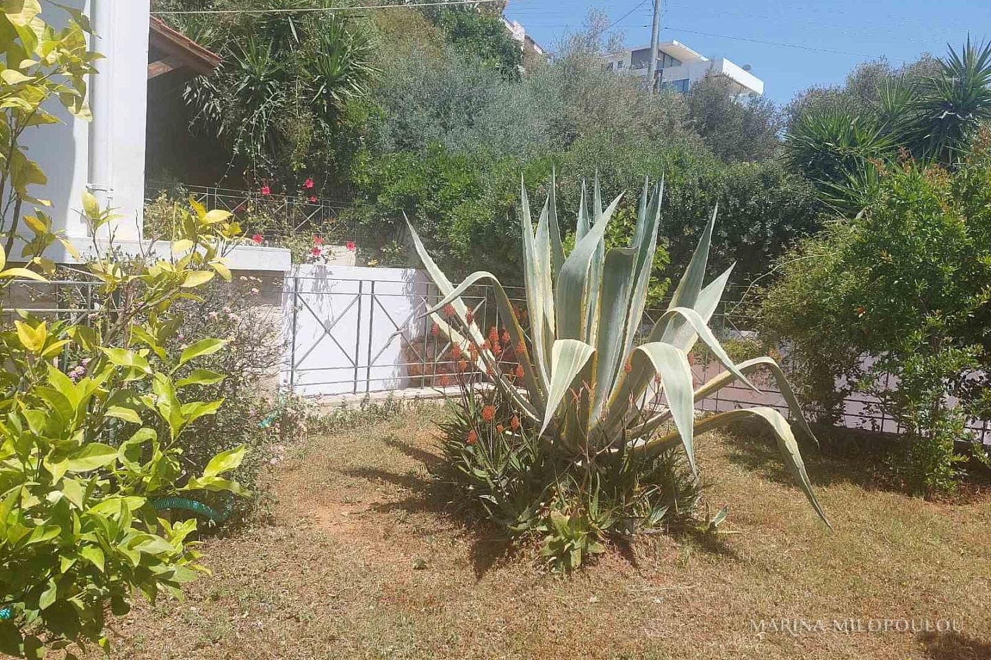 Μονοκατοικία στην Έξοχη, Βούλα — Φωτογραφία 19 από 25