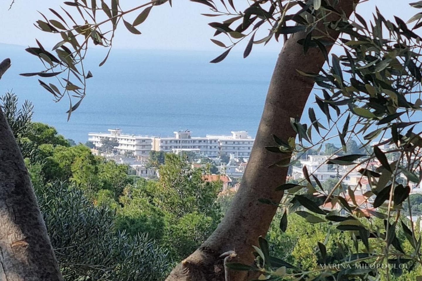 Οικόπεδο στην Σαρωνίδα, Σαρωνίδα — Φωτογραφία 4 από 5
