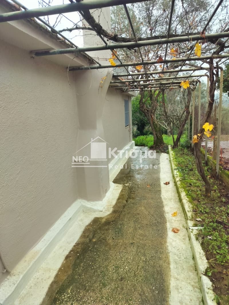 House in Latzoi, Skilounta — Photo 26 of 30