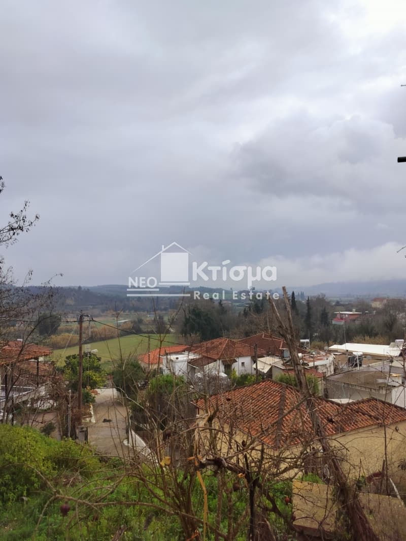 House in Latzoi, Skilounta — Photo 12 of 30