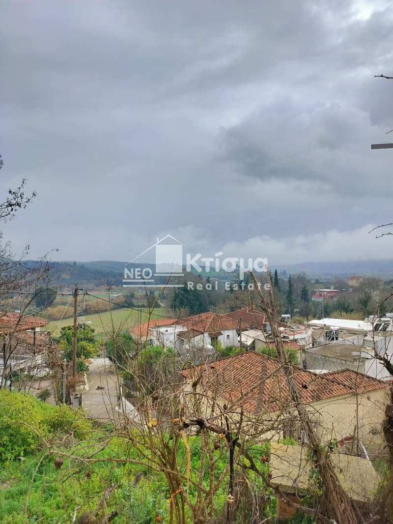 House in Latzoi, Skilounta — Photo 11 of 30