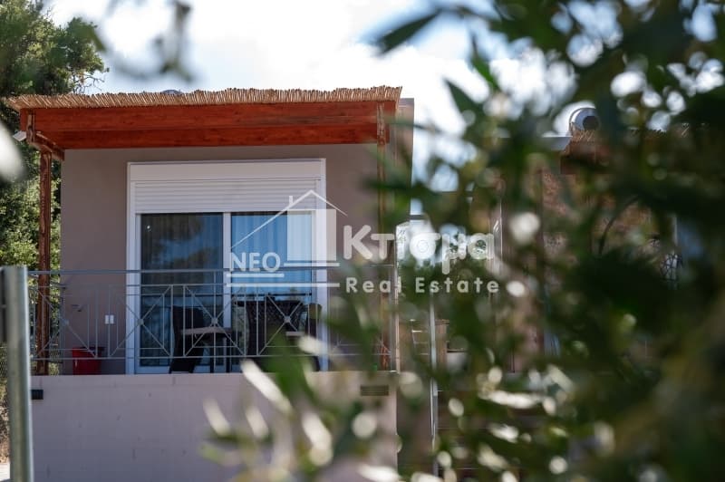 Μονοκατοικία στην Κάτω Ταξιάρχες, Ζαχάρω — Φωτογραφία 18 από 30