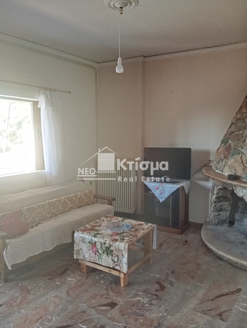 Μονοκατοικία στην Μυρτιά, Πύργος — Φωτογραφία 7 από 16