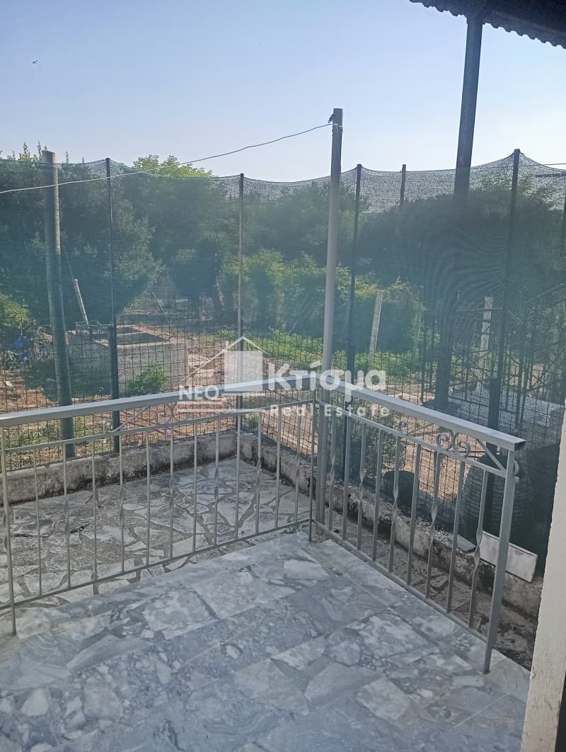 Μονοκατοικία στην Μυρτιά, Πύργος — Φωτογραφία 1 από 16