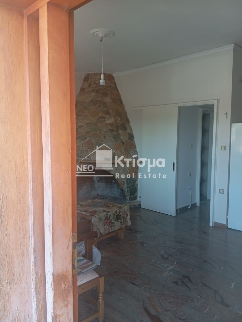 Μονοκατοικία στην Μυρτιά, Πύργος — Φωτογραφία 3 από 16