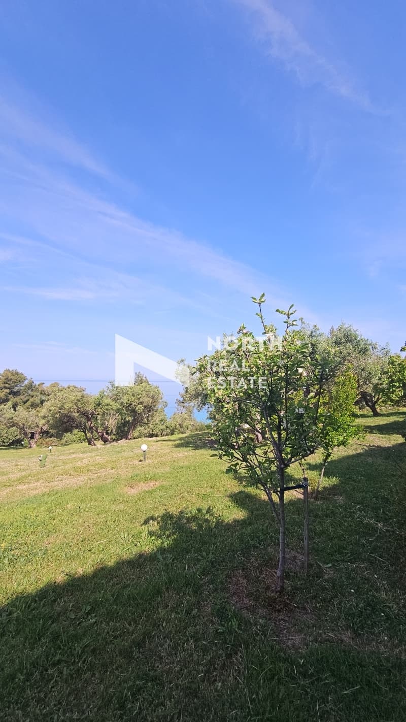 Μονοκατοικία στην Ποσείδι, Κασσάνδρα — Φωτογραφία 17 από 25