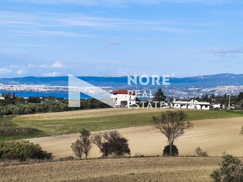 Apartment in Plagiari, Mikra — Photo 2 of 24