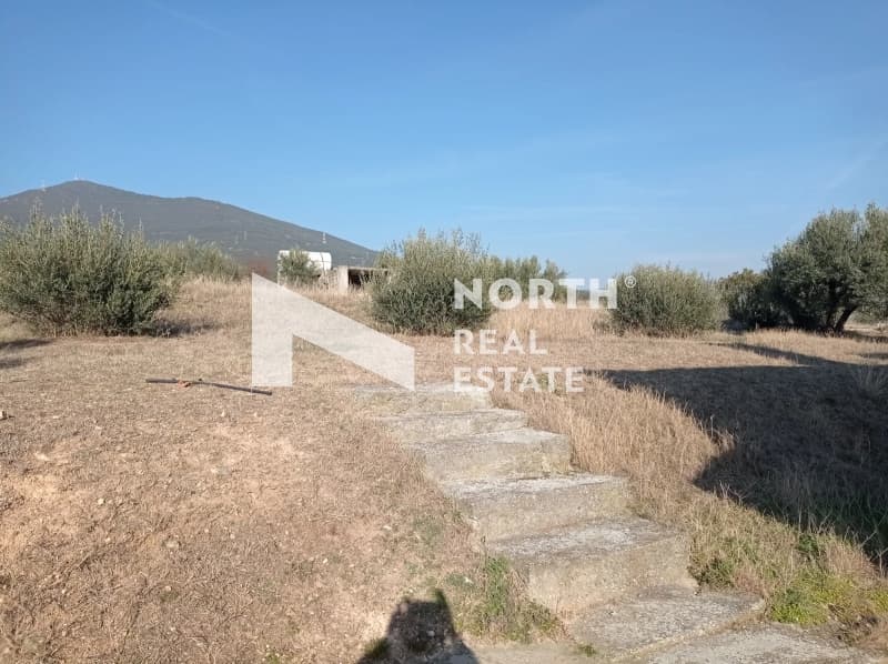 Μονοκατοικία στην Αναγέννηση, Θέρμη — Φωτογραφία 16 από 25