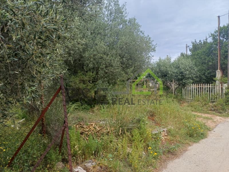 Οικόπεδο στην Άγιος Σεραφείμ, Αρτέμιδα (Λούτσα) — Φωτογραφία 5 από 8