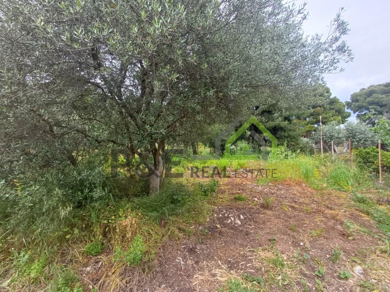 Οικόπεδο στην Άγιος Σεραφείμ, Αρτέμιδα (Λούτσα) — Φωτογραφία 7 από 8