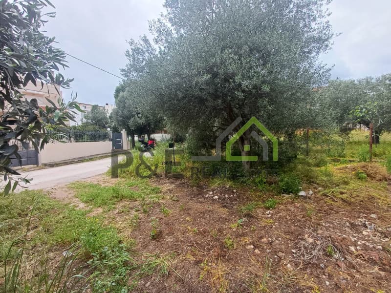 Οικόπεδο στην Άγιος Σεραφείμ, Αρτέμιδα (Λούτσα) — Φωτογραφία 3 από 8