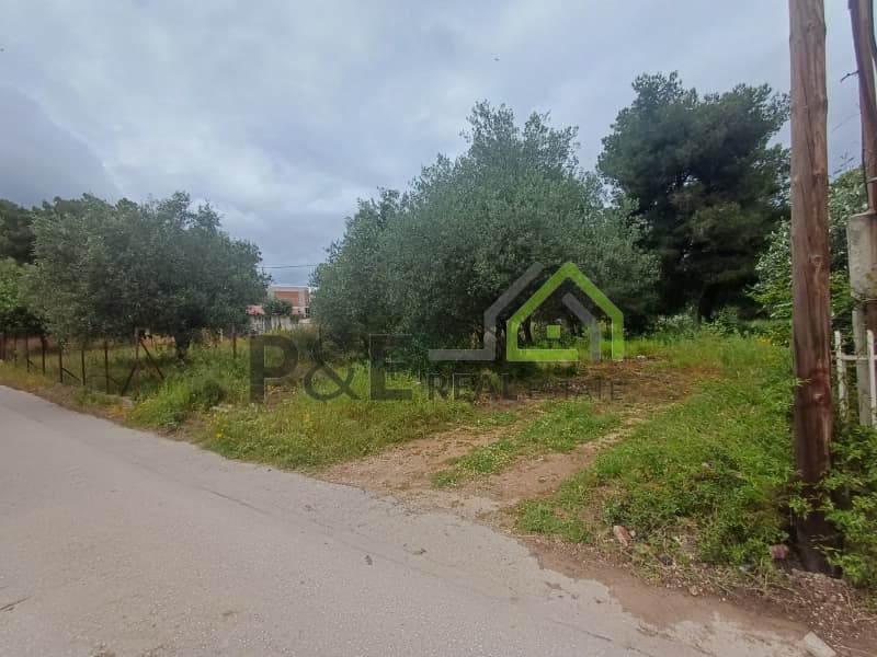 Οικόπεδο στην Άγιος Σεραφείμ, Αρτέμιδα (Λούτσα) — Φωτογραφία 8 από 8