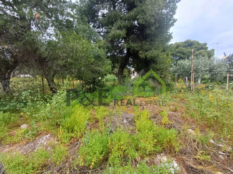 Οικόπεδο στην Άγιος Σεραφείμ, Αρτέμιδα (Λούτσα) — Φωτογραφία 4 από 8