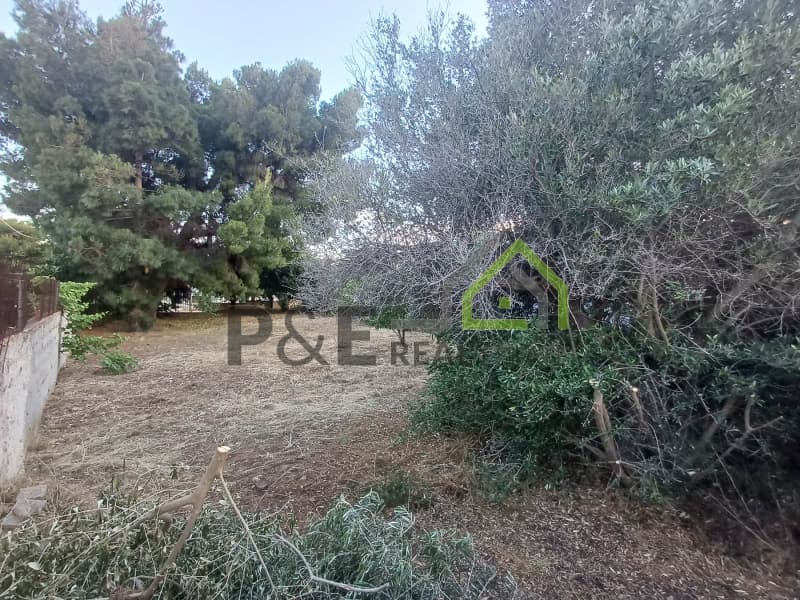 Οικόπεδο στην Άγιος Σεραφείμ, Αρτέμιδα (Λούτσα) — Φωτογραφία 2 από 4