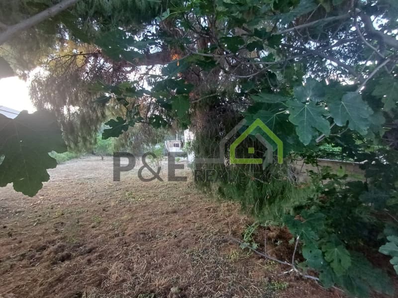 Οικόπεδο στην Άγιος Σεραφείμ, Αρτέμιδα (Λούτσα) — Φωτογραφία 3 από 4
