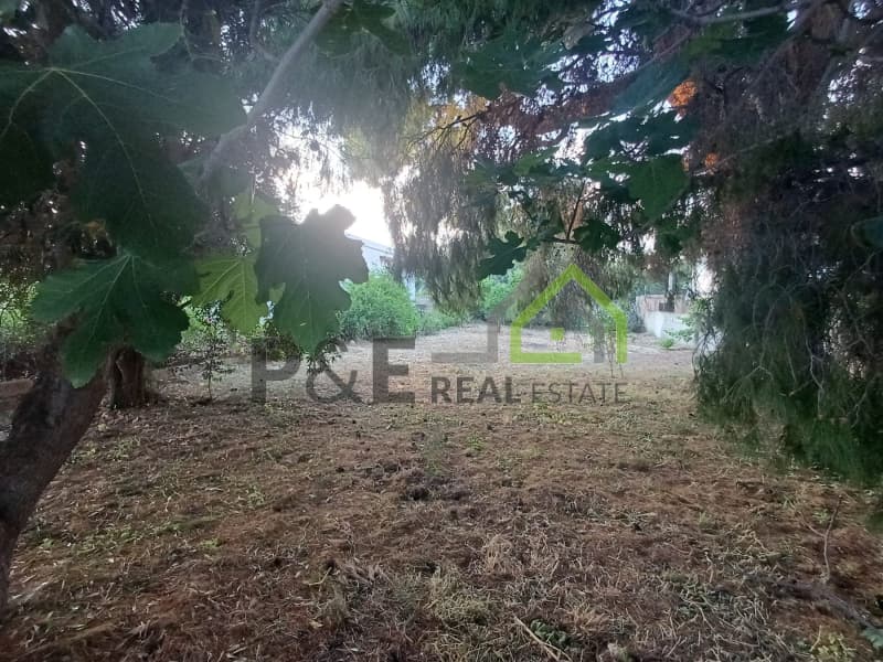 Οικόπεδο στην Άγιος Σεραφείμ, Αρτέμιδα (Λούτσα) — Φωτογραφία 1 από 4