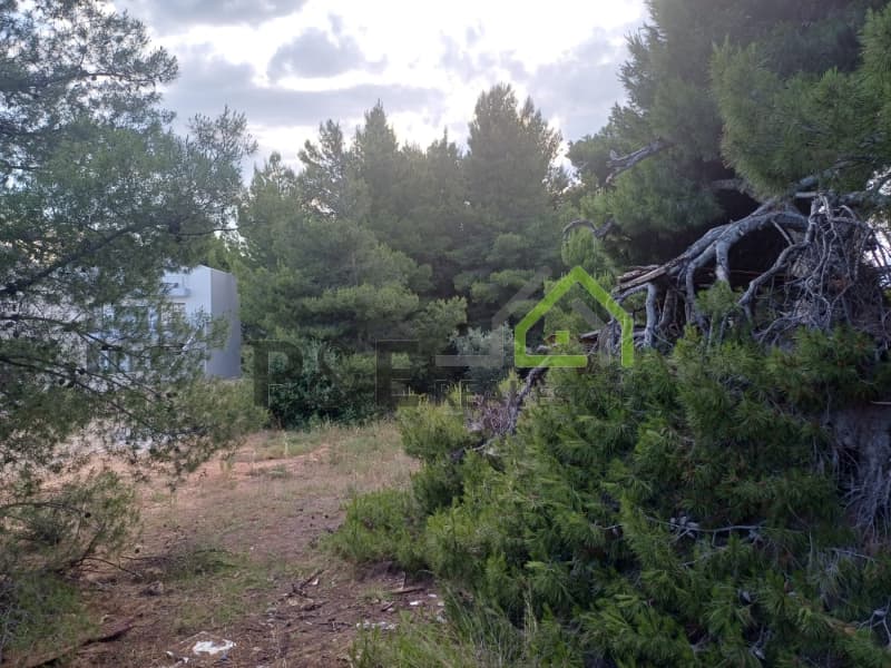 Οικόπεδο στην Άγιος Σεραφείμ, Αρτέμιδα (Λούτσα) — Φωτογραφία 8 από 8