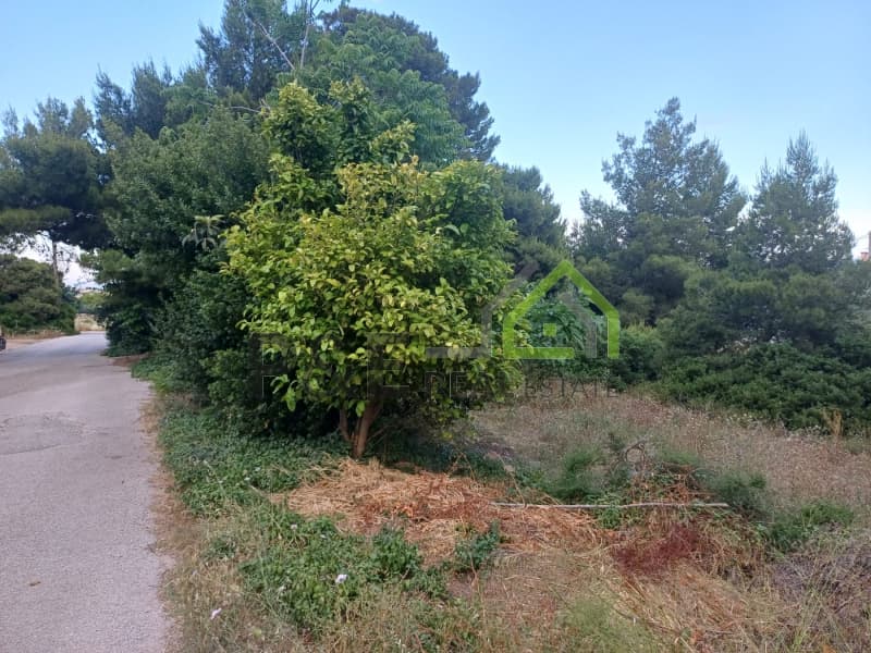 Οικόπεδο στην Άγιος Σεραφείμ, Αρτέμιδα (Λούτσα) — Φωτογραφία 2 από 8