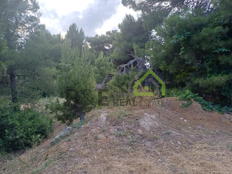 Οικόπεδο στην Άγιος Σεραφείμ, Αρτέμιδα (Λούτσα) — Φωτογραφία 3 από 8