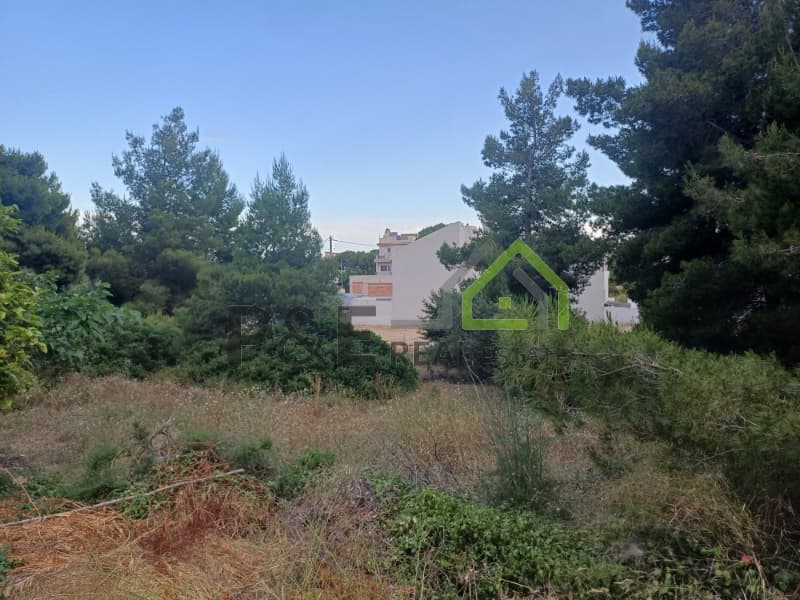 Οικόπεδο στην Άγιος Σεραφείμ, Αρτέμιδα (Λούτσα) — Φωτογραφία 5 από 8