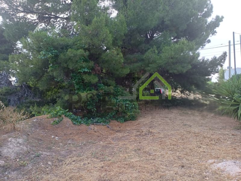 Οικόπεδο στην Άγιος Σεραφείμ, Αρτέμιδα (Λούτσα) — Φωτογραφία 1 από 8