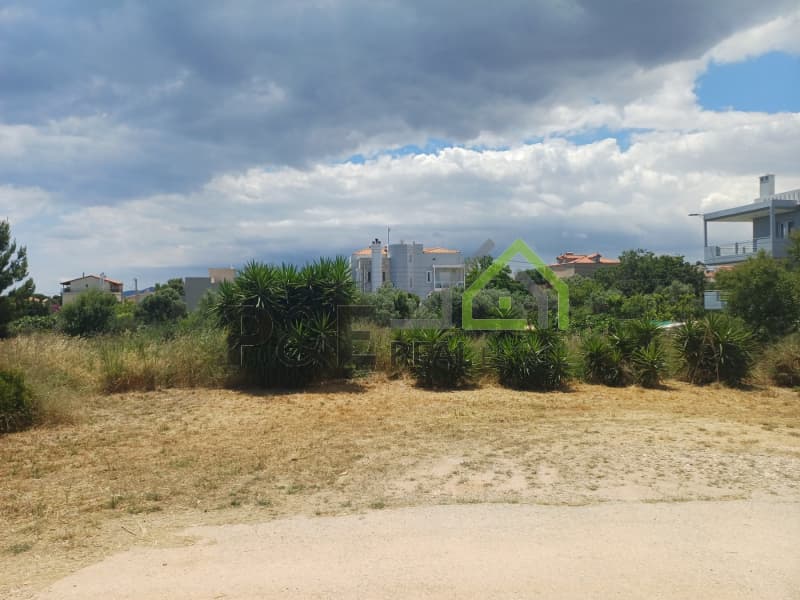 Οικόπεδο στην Άγιος Σεραφείμ, Αρτέμιδα (Λούτσα) — Φωτογραφία 1 από 6