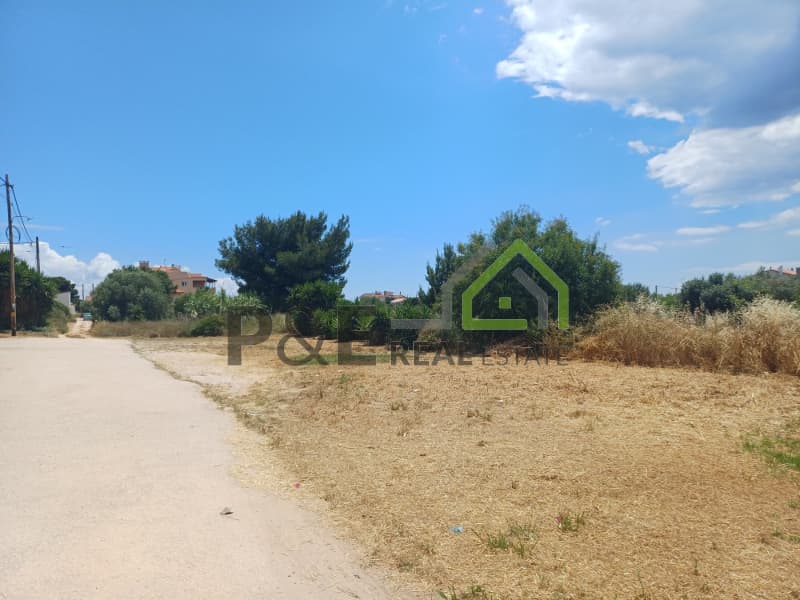 Οικόπεδο στην Άγιος Σεραφείμ, Αρτέμιδα (Λούτσα) — Φωτογραφία 5 από 6