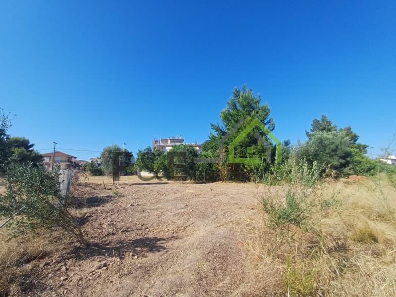 Οικόπεδο στην Άγιος Σεραφείμ, Αρτέμιδα (Λούτσα) — Φωτογραφία 3 από 9